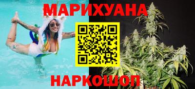 крисы Кунгур