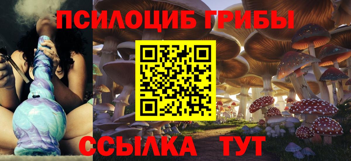 Псилоцибиновые грибы MAGIC MUSHROOMS Каменка